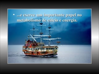 ...e exerce um importante papel no metabolismo de cálcio e energia.  