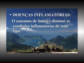DOENÇAS INFLAMATÓRIAS:  O consumo de linhaça diminui as condições inflamatórias de todo tipo.  