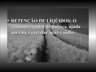 RETENÇÃO DE LÍQÜIDOS: O consumo regular de linhaça, ajuda aos rins a excretar água e sódio.  