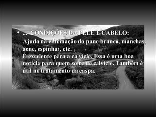 ...  CONDIÇÕES DA PELE E CABELO:  Ajuda na eliminação do pano branco, manchas, acne, espinhas, etc. É excelente para a calvície. Essa é uma boa notícia para quem sofre de calvície. Também é útil no tratamento da caspa.  