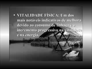 VITALIDADE FÍSICA: Um dos mais notáveis indicativos de melhora devido ao consumo de linhaça é o incremento progressivo na vitalidade e na energia.  