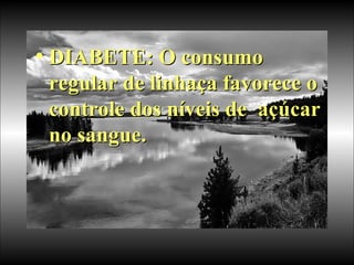 DIABETE: O consumo regular de linhaça favorece o controle dos níveis de  açúcar no sangue.  