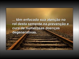 ...  têm enfocado sua atenção no rol desta semente na prevenção e cura de numerosas doenças degenerativas.  