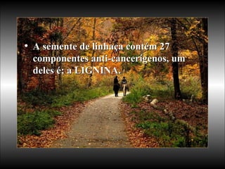 A semente de linhaça contém 27 componentes anti-cancerígenos, um deles é; a LIGNINA. 