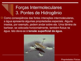 Forças Intermoleculares 3. Pontes de Hidrogênio Como conseqüência das fortes interações intermoleculares, a água apresenta algumas propriedades especiais. Alguns insetos, por exemplo, podem andar sobre ela. Uma lâmina de barbear, se colocada horizontalmente, também flutua na água. Isto deve-se à  tensão superficial da água.   Propriedades Físicas 