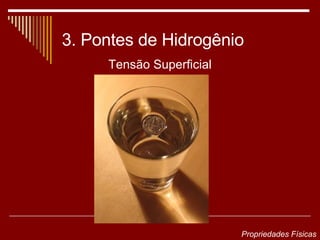 3. Pontes de Hidrogênio Tensão Superficial Propriedades Físicas 