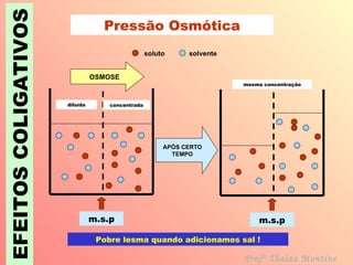 EFEITOS COLIGATIVOS Pressão Osmótica Pobre lesma quando adicionamos sal ! Profª Thaiza Montine soluto solvente OSMOSE APÓS CERTO TEMPO m.s.p concentrada diluída m.s.p mesma concentração 