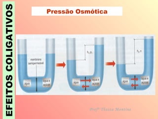 EFEITOS COLIGATIVOS Pressão Osmótica Profª Thaiza Montine 