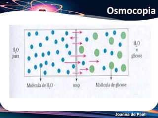 Joanna de Paoli
(UEM PR/2006) Considerando uma solução de cloreto de
potássio de concentração 1,0 mol/L e comparando-se suas
propriedades coligativas com água pura, considerando
ainda que a pressão externa é de 1 atm, é correto afirmar
que
a) a solução de KC congela a 0°C.
b) a solução de KC ferve a 100°C.
c) a solução de KC congela acima de 0°C.
d) a solução de KC ferve abaixo de 100°C.
e) a solução de KC congela abaixo de 0°C.
Exercício 10
 