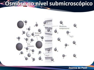 Joanna de Paoli
(UFAL/2011) A água do mar pode ser considerada como uma
solução contendo vários sais dissolvidos. Entre as afirmações a
seguir, assinale a que não é correta em relação à água do mar.
a) Um dos sais dissolvidos na água do mar é o cloreto de sódio.
b) A pressão de vapor da água do mar é menor doque a da água
pura à mesma temperatura.
c) A temperatura normal de ebulição da água do mar é maior do
que a da água pura.
d) A temperatura normal de ebulição da água do mar será sempre
maior do que a temperatura normal de ebulição de uma
solução de sacarose de concentração, em mol/L, igual à do
cloreto de sódio existente na água do mar.
e) A temperatura de solidificação da água do mar permanece
constante à medida que o solvente se solidifica.
Exercício 11
 