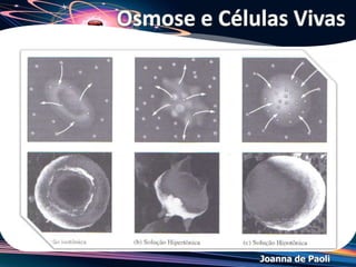 Joanna de Paoli
(FATEC SP/2013) A adição de soluto não
volátil à água interfere em suas
propriedades como, por exemplo,
densidade, pressão de vapor, ponto de
ebulição e de congelamento. A imagem,
ilustra uma experiência a partir da qual
podemos observar a interferência da adição
de sal na densidade da solução.
Exercício 13
Sobre essas propriedades, é correto afirmar que a água pura, em
relação à solução aquosa de NaCl, apresenta
a) maior densidade e maior pressão de vapor.
b) maior temperatura de ebulição e menor densidade.
c) menor densidade e maior temperatura de congelamento.
d) menor temperatura de ebulição e menor pressão de vapor.
e) menor temperatura de congelamento e maior pressão de vapor.
 
