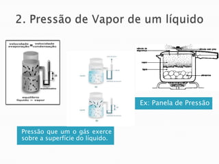 Pressão que um o gás exerce
sobre a superfície do líquido.
Ex: Panela de Pressão
 