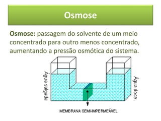 Osmose
Osmose: passagem do solvente de um meio
concentrado para outro menos concentrado,
aumentando a pressão osmótica do sistema.
 