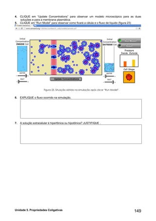 Unidade 5. Propriedades Coligativas 149 
4. CLIQUE em “Update Concentrations” para observar um modelo microscópico para as duas soluções e para a membrana plasmática. 
5. CLIQUE em “Run Model” para observar como ficará a célula e o fluxo de líquido (figura 23) 
Figura 23. Situação obtida na simulação após clicar “Run Model”. 
6. EXPLIQUE o fluxo ocorrido na simulação. 
7. A solução extracelular é hipertônica ou hipotônica? JUSTIFIQUE . 
 