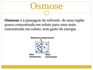 Osmose
Osmose é a passagem do solvente de uma região
pouco concentrada em soluto para uma mais
concentrada em soluto, sem gasto de energia.
 
