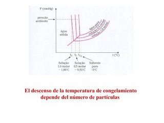 El descenso de la temperatura de congelamiento
depende del número de partículas
 