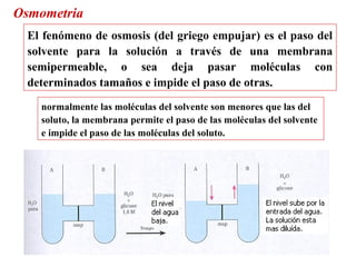 Osmometria
El fenómeno de osmosis (del griego empujar) es el paso del
solvente para la solución a través de una membrana
semipermeable, o sea deja pasar moléculas con
determinados tamaños e impide el paso de otras.
normalmente las moléculas del solvente son menores que las del
soluto, la membrana permite el paso de las moléculas del solvente
e impide el paso de las moléculas del soluto.
 