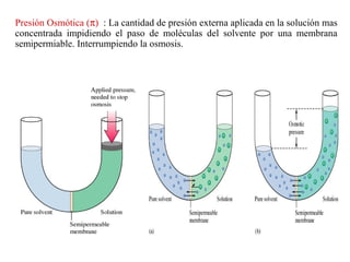 Presión Osmótica (π) : La cantidad de presión externa aplicada en la solución mas
concentrada impidiendo el paso de moléculas del solvente por una membrana
semipermiable. Interrumpiendo la osmosis.
 