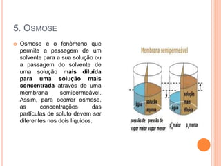 5. OSMOSE
 Osmose é o fenômeno que
permite a passagem de um
solvente para a sua solução ou
a passagem do solvente de
uma solução mais diluída
para uma solução mais
concentrada através de uma
membrana semipermeável.
Assim, para ocorrer osmose,
as concentrações das
partículas de soluto devem ser
diferentes nos dois líquidos.
 