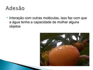  Interação com outras moléculas, isso faz com que
a água tenha a capacidade de molhar alguns
objetos
 