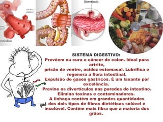 SISTEMA DIGESTIVO:
 Prevêem ou cura o câncer de colon. Ideal para
                      artrite,
 prisão de ventre, acidez estomacal. Lubrifica e
            regenera a flora intestinal.
 Expulsão de gases gástricos. É um laxante por
                   excelência.
Previne os divertículos nas paredes do intestino.
       Elimina toxinas e contaminadores.
   A linhaça contém em grandes quantidades
   dos dois tipos de fibras dietéticas solúvel e
 insolúvel. Contém mais fibra que a maioria dos
                      grãos.
 