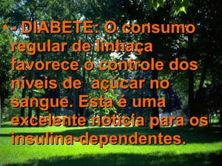 - DIABETE: O consumo regular de linhaça favorece o controle dos níveis de  açúcar no sangue. Esta é uma excelente notícia para os insulina-dependentes.   