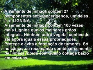 A semente de linhaça contém 27 componentes anti-cancerígenos, um deles é; a LIGNINA. A semente de linhaça contém 100 vezes mais Lignina que os melhores grãos integrais. Nenhum outro vegetal conhecido até agora iguala essas propriedades. Protege e evita a formação de tumores. Só no câncer se recomenda combinar semente de linhaça moída com queijo cottage baixo em calorias.   