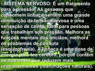 - SISTEMA NERVOSO: É um tratamento para a pressão. As pessoas que consomem linhaça sentem uma grande diminuição da tensão nervosa e uma sensação de calma. Ideal para pessoas que trabalham sob pressão. Melhora as funções mentais dos anciãos, melhora os problemas de conduta (esquizofrenia). A linhaça é uma dose de energia para teu cérebro, porque contém os nutrientes que reduzem mais urotransmisores (reanimações naturais).   