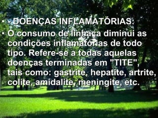- DOENÇAS INFLAMATÓRIAS:  O consumo de linhaça diminui as condições inflamatórias de todo tipo. Refere-se a todas aquelas doenças terminadas em "TITE", tais como: gastrite, hepatite, artrite, colite, amidalite, meningite, etc.  