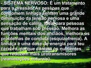 - SISTEMA NERVOSO: É um tratamento para a pressão. As pessoas que consomem linhaça sentem uma grande diminuição da tensão nervosa e uma sensação de calma. Ideal para pessoas que trabalham sob pressão. Melhora as funções mentais dos anciãos, melhora os problemas de conduta (esquizofrenia). A linhaça é uma dose de energia para teu cérebro, porque contém os nutrientes que reduzem mais urotransmisores (reanimações naturais).   