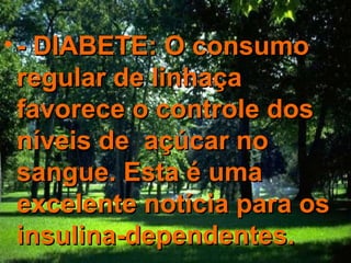 - DIABETE: O consumo regular de linhaça favorece o controle dos níveis de  açúcar no sangue. Esta é uma excelente notícia para os insulina-dependentes.   