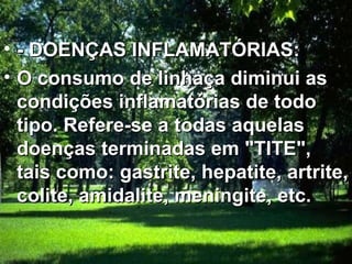 - DOENÇAS INFLAMATÓRIAS:  O consumo de linhaça diminui as condições inflamatórias de todo tipo. Refere-se a todas aquelas doenças terminadas em "TITE", tais como: gastrite, hepatite, artrite, colite, amidalite, meningite, etc.  