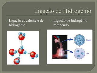  Ligação covalente e de
hidrogênio
 Ligação de hidrogênio
rompendo
 