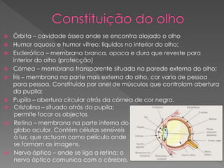  Órbita – cavidade óssea onde se encontra alojado o olho
 Humor aquoso e humor vítreo: líquidos no interior do olho;
 Esclerótica – membrana branca, opaca e dura que reveste para
interior do olho (protecção)
 Córnea – membrana transparente situada na parede externa do olho;
 Íris – membrana na parte mais externa do olho, cor varia de pessoa
para pessoa. Constituída por anel de músculos que controlam abertura
da pupila;
 Pupila – abertura circular atrás da córnea de cor negra.
 Cristalina – situado atrás da pupila;
permite focar os objectos
 Retina – membrana na parte interna do
globo ocular. Contém células sensíveis
à luz, que actuam como película onde
se formam as imagens.
 Nervo óptico – onde se liga a retina; o
nervo óptico comunica com o cérebro.
 
