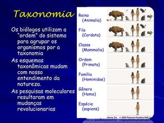 Organização Hierarquia
Cada nível de organização é mais complexo do
que o nível hierárquico inferior.

Cada nível de organização tem propriedades
emergentes devido as interações entre as
partes que compõem o inteiro; toda
propriedade emergente segue as leis da física
e da química.

 