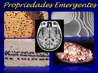 Taxonomia
Os biólogos utilizam a
“ordem” do sistema
para agrupar os
organismos por a
taxonomia
As esquemas
taxonômicas mudam
com nosso
entendimento da
natureza.
As pesquisas moleculares
resultaram em
mudanças
revolucionarias

Reino
(Animalia)
Filo
(Cordata)
Classe
(Mammalia)
Ordem
(Primata)
Família
(Hominidae)

Gênero
(Homo)
Espécie
(sapiens)

 