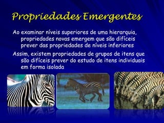 Complexidade e
Organização Hierárquica
Novas características podem aparecer
em qualquer nível de organização –
propriedades emergentes.
As propriedades emergentes dependem
das características dos níveis
hierárquicos inferiores – em parte.

– O desenvolvimento da fala precisa da
audição.
– Mas, várias idiomas diferentes evoluíram.

 