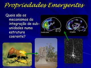 Propriedades Emergentes
Ao examinar níveis superiores de uma hierarquia,
propriedades novas emergem que são difíceis
prever das propriedades de níveis inferiores

Assim, existem propriedades de grupos de itens que
são difíceis prever do estudo de itens individuais
em forma isolada

 