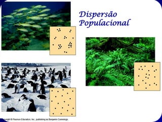 DISTRIBUIÇÃO DA
POPULAÇÃO

Padrão estática da população

•Amplitude geográfica!!! Todas as áreas ocupadas durante o

ciclo de vida;
•Extensão da distribuição de uma população – influências:

- competidores;
- patogênicos;
- barreiras à dispersão;
- clima;
- topografia;
- química e textura do solo;
- presença ou ausência de habitats adequados;

 