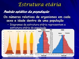 Padrões de Dispersão

Padrão estática da população

Dispersão – o padrão de espaçamento
entre os indivíduos

 