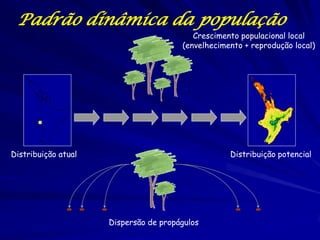 Estrutura Sexual
Padrão estático da população
A razão sexual humana é o número de machos por 1000
fêmeas numa população.
O nascimento de machos excede consistentemente o
nascimento de fêmeas por razões biológicas e sociais.
Por exemplo, mais casais decidem completar a sua família após o nascimento de
um filho de que se nasce uma filha. No Brasil 105 meninos nascem para cada
100 meninas. Mas, após o nascimento a diferencia começa cair e
eventualmente as fêmeas são mais numerosas que os machos, porque em cada
idade a mortalidade masculina é maior do que a mortalidade feminina. Esse
processo ocorre mais rapidamente nos países mais pobres onde a mortalidade
infantil é muito maior nos machos do que nas fêmeas, e a diferencia
desaparece dentro de um ano de vida. No Brasil, as mulheres constituem
74% da população de 85 ou mais anos de idade.

 