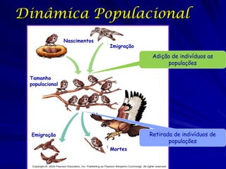 Razão Sexual
Padrão
estático da
população
A razão sexual
de uma
população
afeita sua
taxa de
crescimento.

Após um ano

Razão maior de machos
Após um ano

Razão maior de fêmeas

 