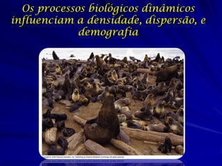 Dinâmica Populacional
Nascimentos

Imigração

Adição de indivíduos as
populações
Tamanho
populacional

Retirada de indivíduos de
populações

Emigração
Mortes

 