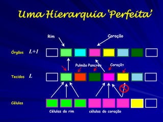Os processos biológicos dinâmicos influenciam a
densidade, dispersão, e demografia

Padrão dinâmica da população

Abundancia >

O tamanho populacional pode aumentar,
cair, flutuar ou ficar constante no tempo

Tempo >

 