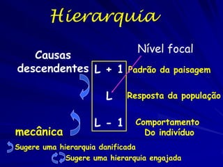 Aprendemos um método de três
passos, 3 Níveis numa Hierarquia
Restrições
(Significância)

RESTRINGE O FOCAL E
PROPORCIONA
SIGNIFIKCANCIA E
CONTEXTO

Nível de foco
Nível Focal
Componentes
(explicação)

Proporciona detalhes para
explicar a resposta

Podem existir causas no sentido inferior?

 