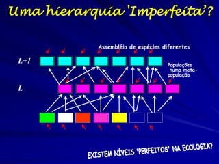 Uma Hierarquia 'Perfeita’
Rim

Órgãos

Coração

(Órgãos)

L+1
Rim

Tecidos

Coração
Rim

L

Células

Pulmão Pancreo

L-1
Células do rim

células do coração

 