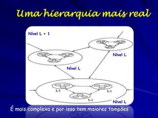 Hierarquia
Causas
descendentes L + 1
L
mecânica

L - 1

Nível focal
Padrão da paisagem
Resposta da população

Comportamento
Do indivíduo

Sugere uma hierarquia danificada
Sugere uma hierarquia engajada

 
