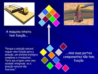 A distancia do estado verdadeiro da assembléia fica
no modelo depende da complexidade do
sistema e as regras de assembléia que usamos
ASSEMBLÉIAS POSSIVÉIS DO
SISTEMA (REPRESENTAÇÃO)
SISTEMA INTACTO

COMPONENTES

REGRAS DE
ASSEMBLÉIA

 