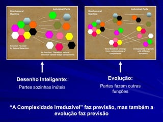 “Um bom exemplo de esse tipo de sistema é um ratoneiro. ...
A função do ratoneiro requer todas as peças: não funciona
com somente a plataforma ou qualquer outra peça
separadamente. Todos os componentes precisam encaixar
antes de capturar uma ratazana. Assim o ratoneiro é
complexo e irreduzível."

 