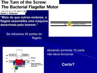 A maquina inteira
tem função...

“Porque a seleção natural
requer uma função para a
seleção, um sistema biológico
complexo e irreduzível..
Teria sua origem como uma
unidade integrada ou a
seleção natural não
funciona.”

....mas suas partes
componentes não tem
função

 